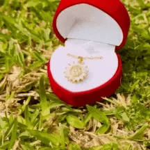 Collar Girasol Giratorio®